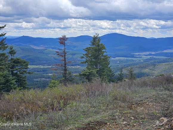 20 Acres of Recreational Land for Sale in St. Maries, Idaho