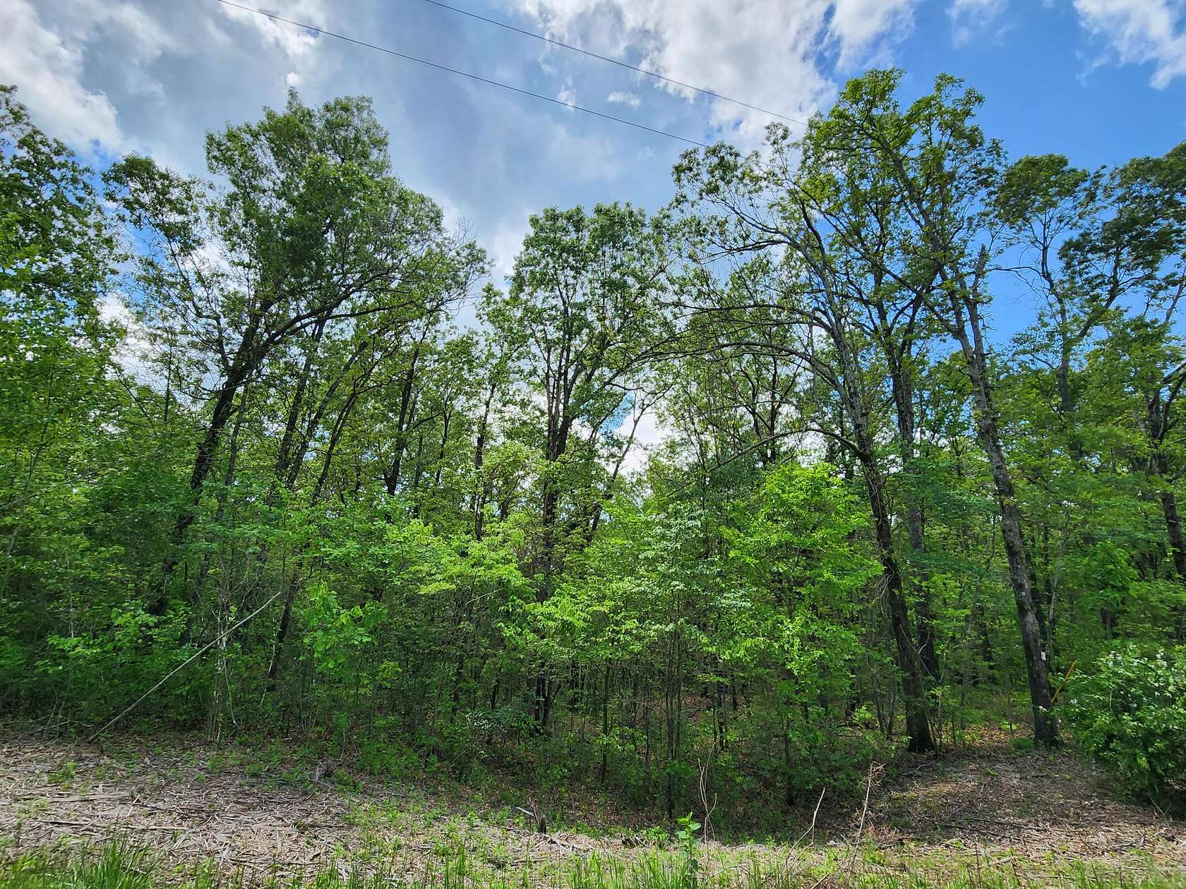 3.9 Acres of Residential Land for Sale in Niangua, Missouri