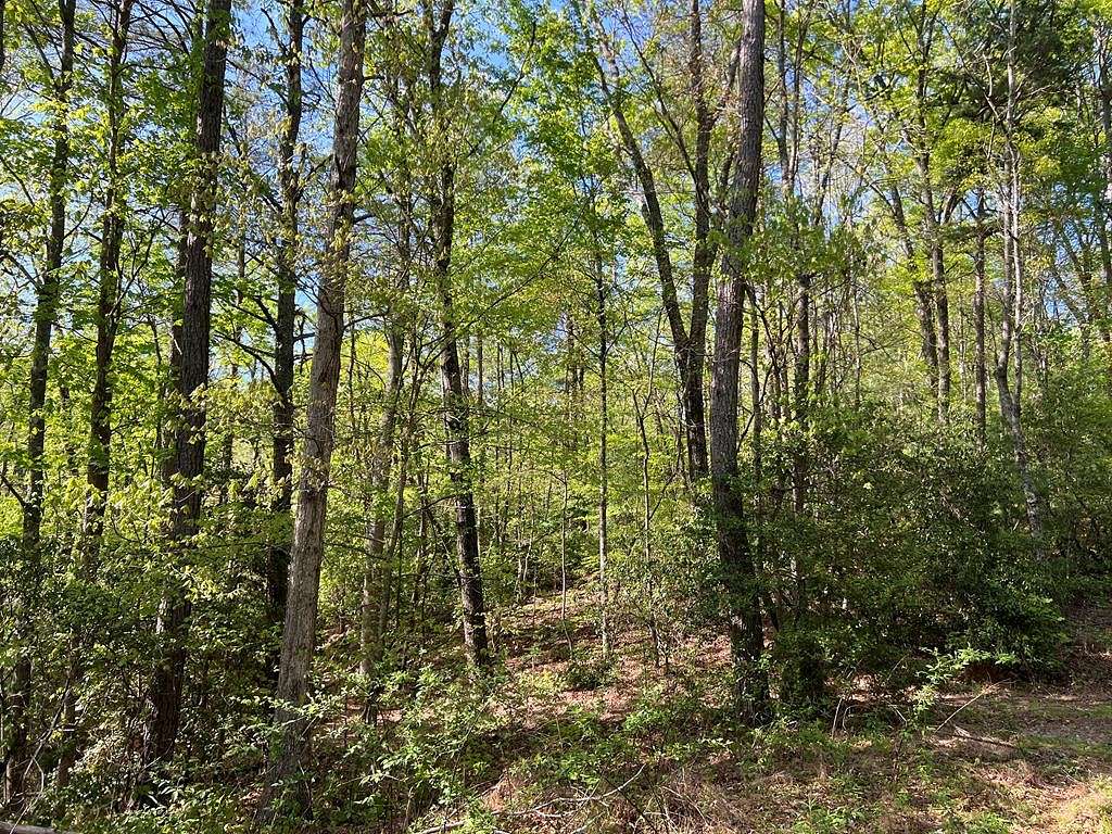 8.9 Acres of Land for Sale in Ellijay, Georgia