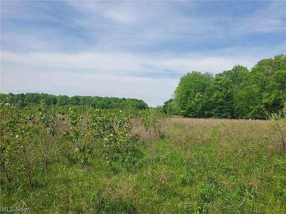 2.1 Acres of Residential Land for Sale in Wadsworth, Ohio