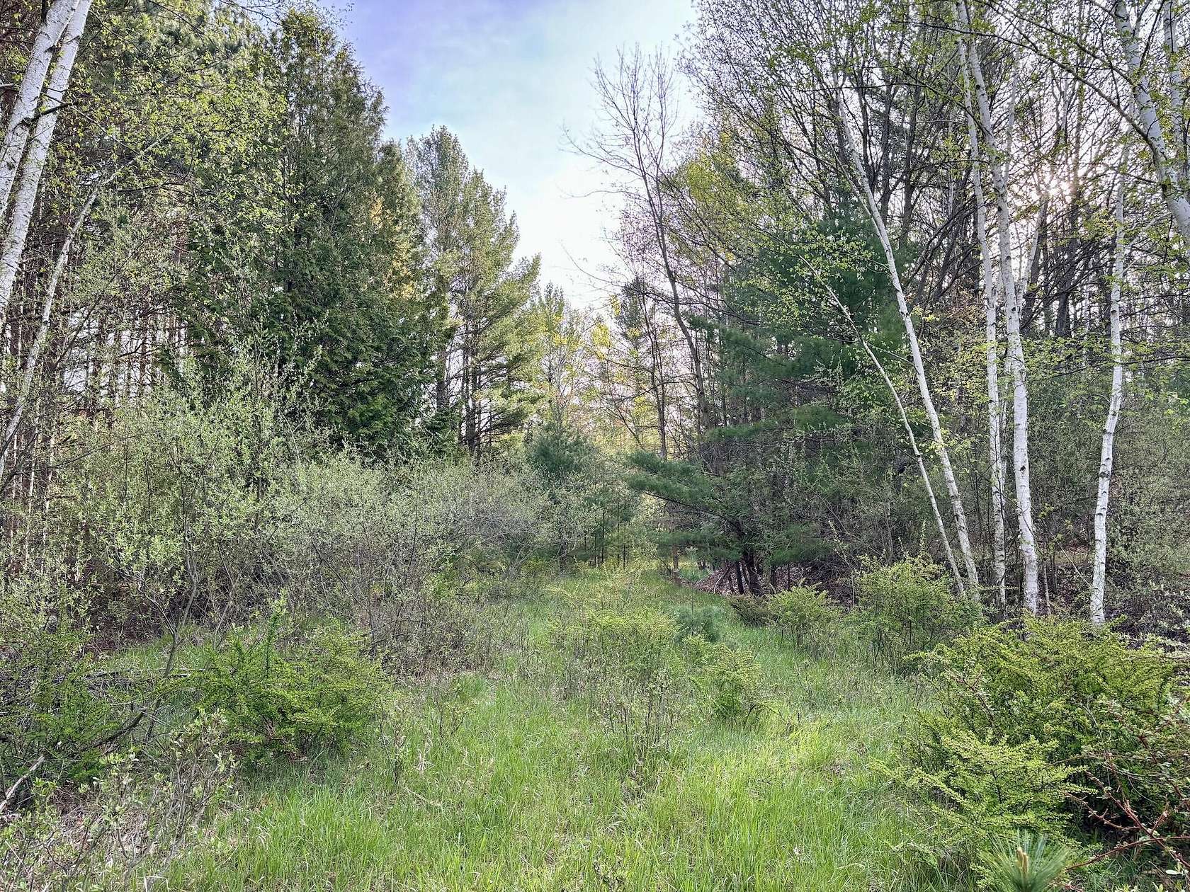 10 Acres of Recreational Land for Sale in Manistee, Michigan