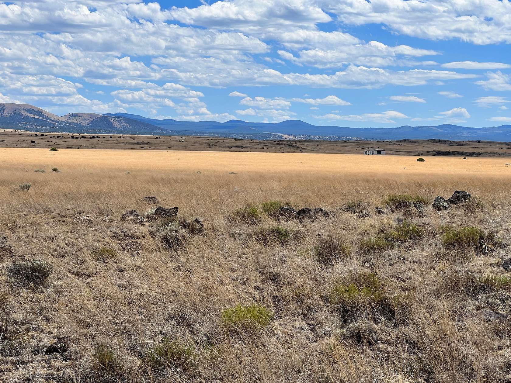 4.76 Acres of Residential Land for Sale in Concho, Arizona