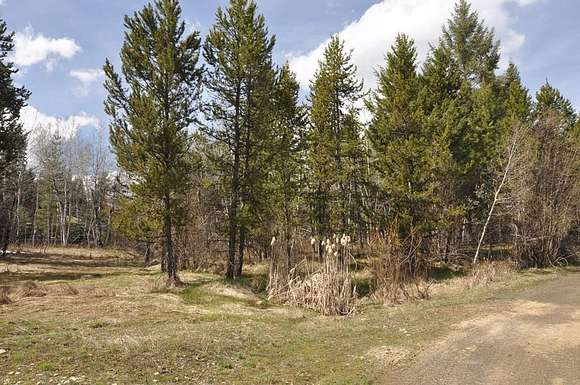 3.3 Acres of Land for Sale in McCall, Idaho