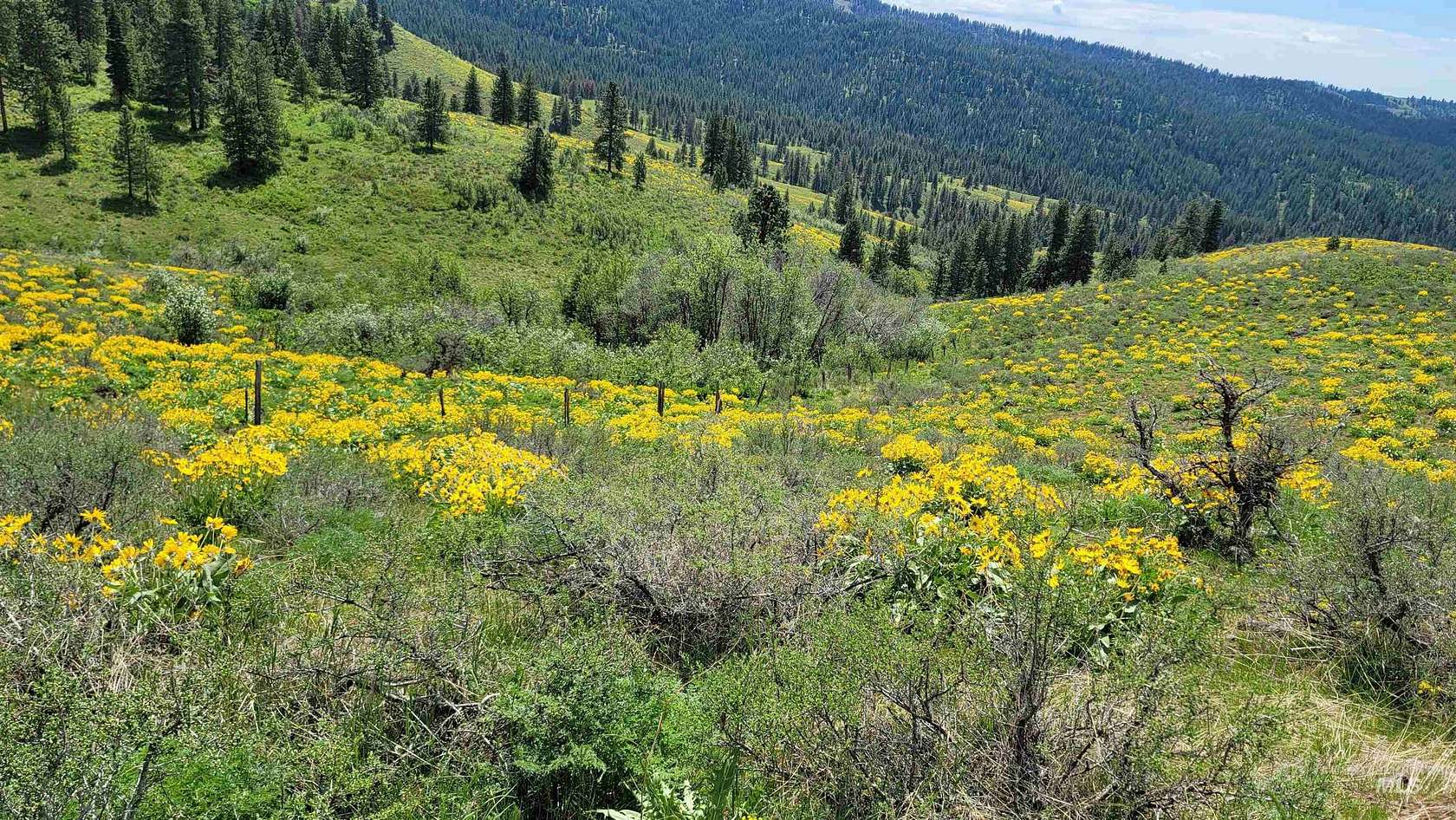 160 Acres of Land for Sale in Council, Idaho