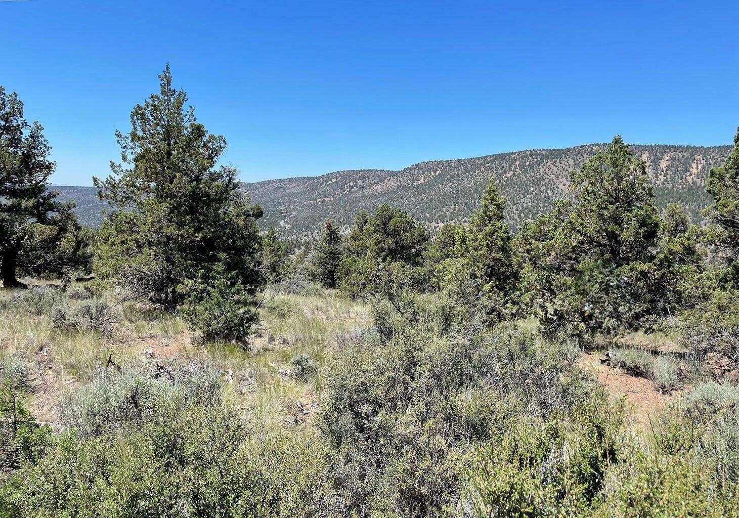 1.48 Acres of Residential Land for Sale in Prineville, Oregon