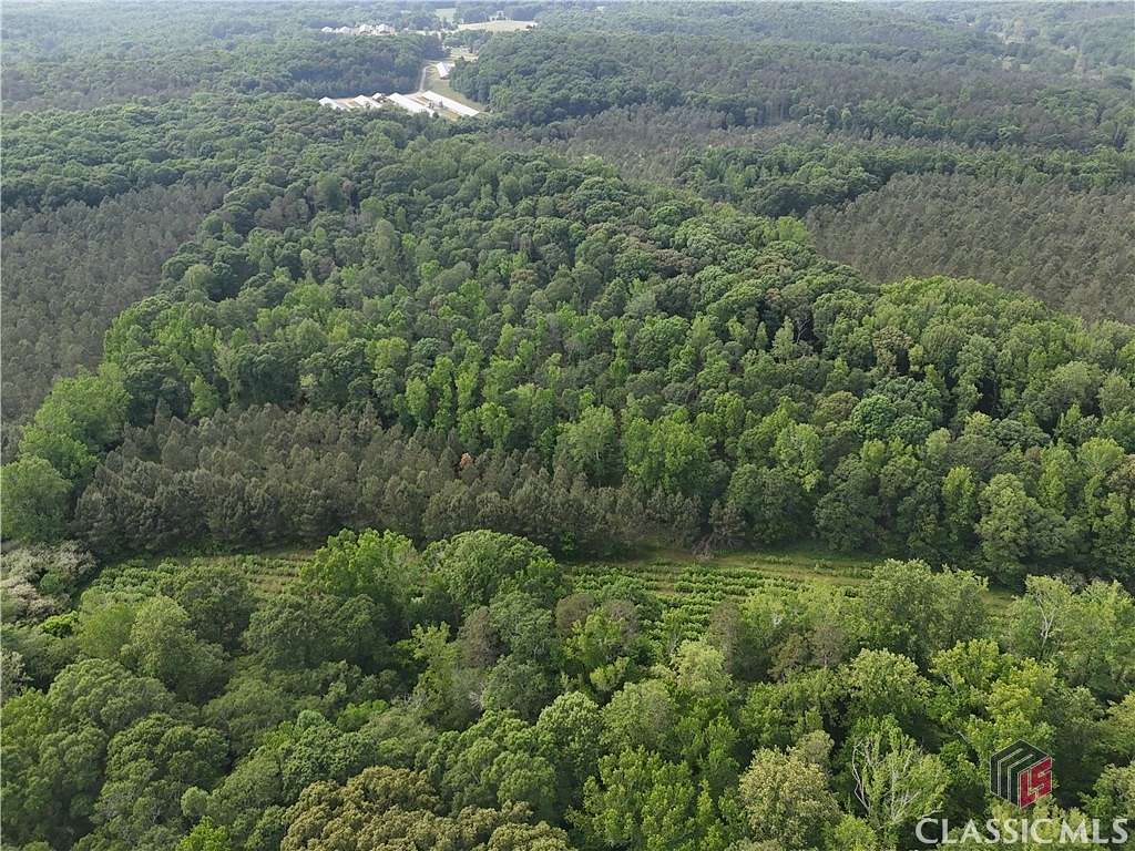 14.6 Acres of Land for Sale in Nicholson, Georgia