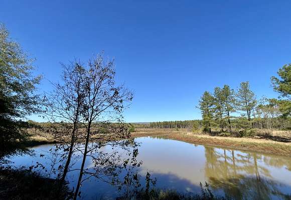 286.46 Acres of Recreational Land for Sale in Dardanelle, Arkansas