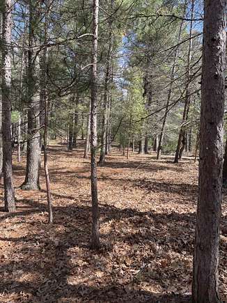 2 Acres of Residential Land for Sale in Arkdale, Wisconsin