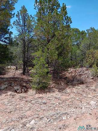 0.5 Acres of Residential Land for Sale in Timberon, New Mexico