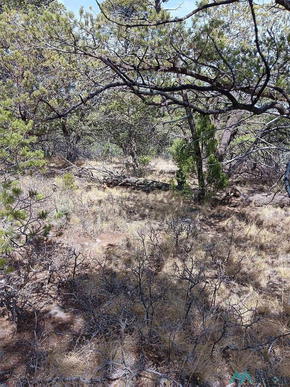 0.53 Acres of Residential Land for Sale in Timberon, New Mexico