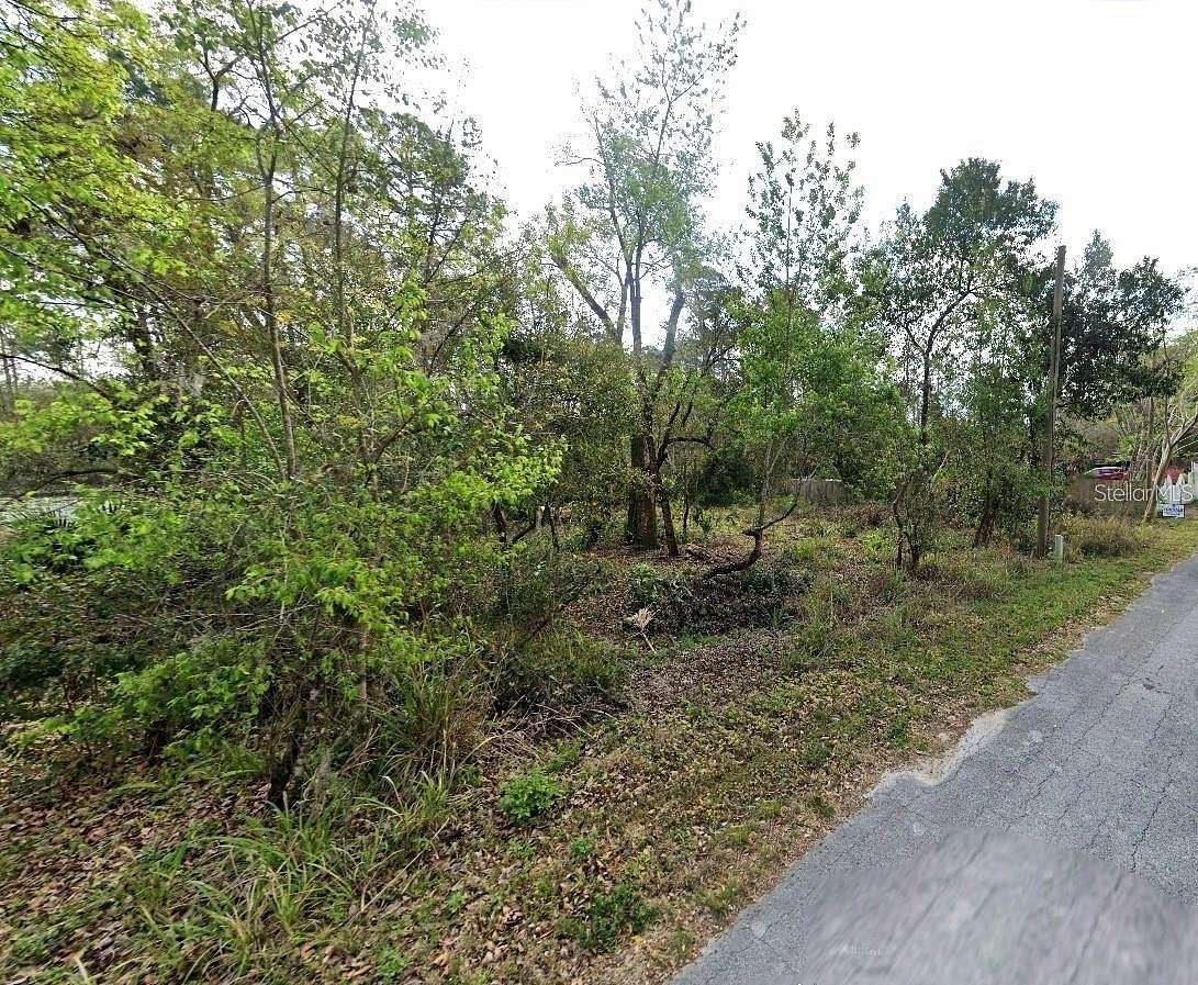 0.35 Acres of Land for Sale in Paisley, Florida