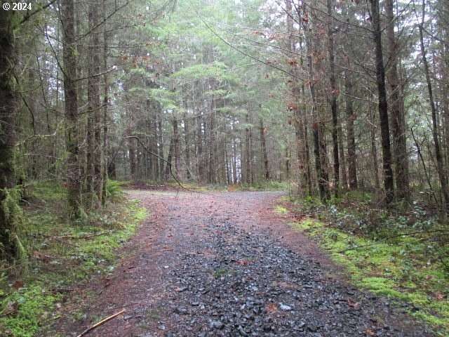 80 Acres of Land for Sale in Scio, Oregon