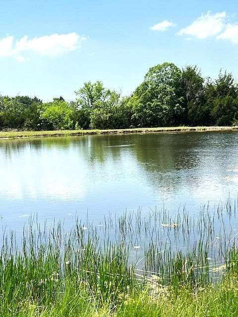 82.3 Acres of Agricultural & Residential Land for Sale in Farmersville, Texas