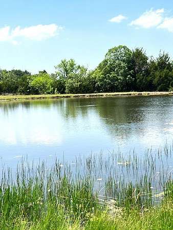82.3 Acres of Agricultural & Residential Land for Sale in Farmersville, Texas