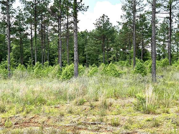 4.5 Acres of Residential Land for Sale in Sheridan, Arkansas