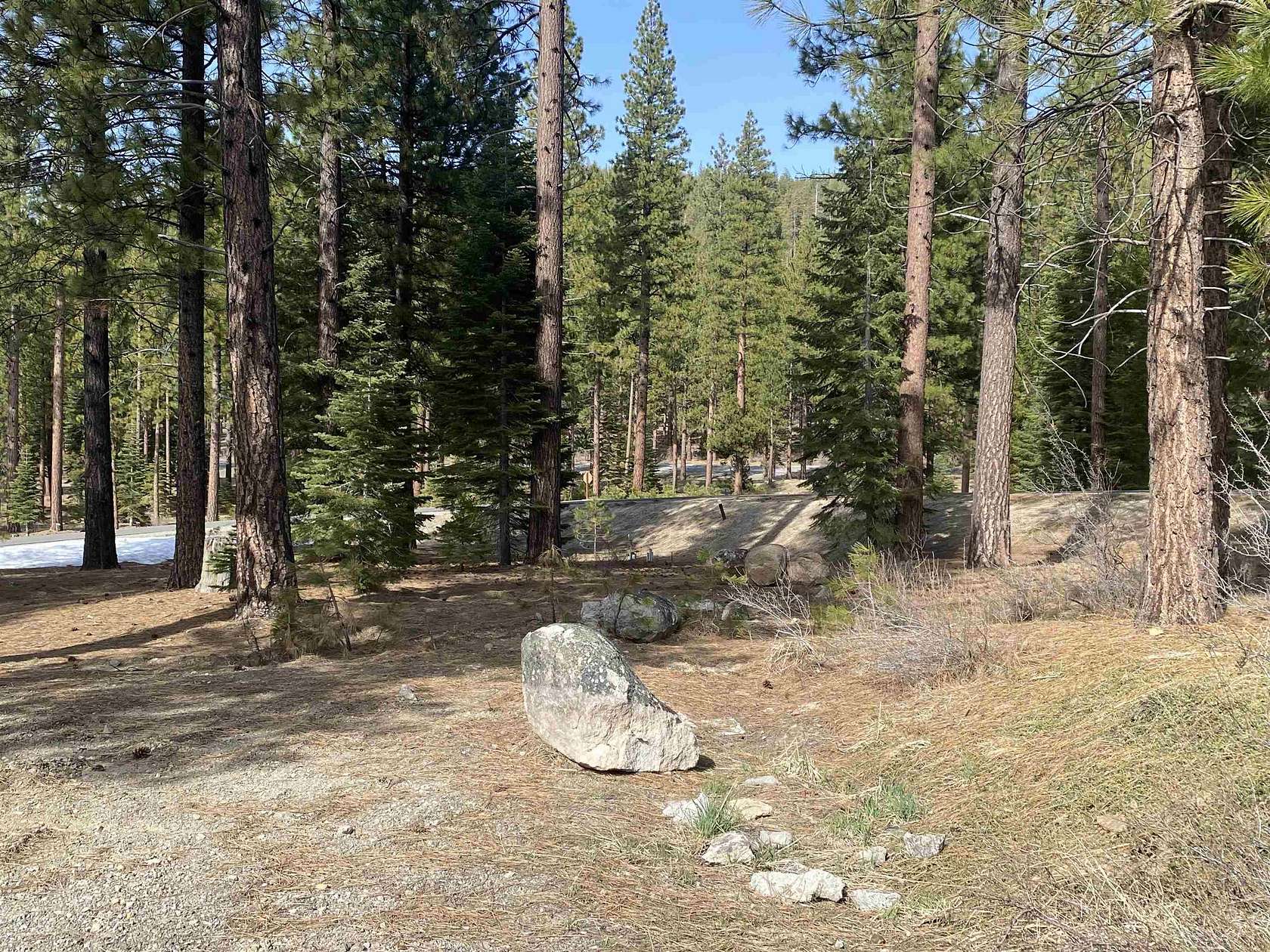 0.19 Acres of Residential Land for Sale in Clio, California