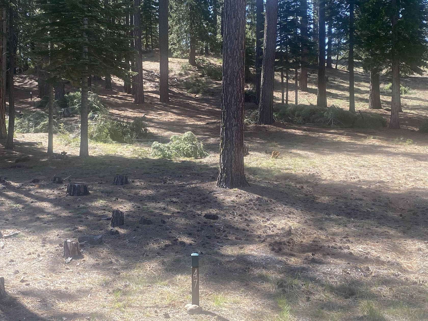 0.24 Acres of Residential Land for Sale in Clio, California