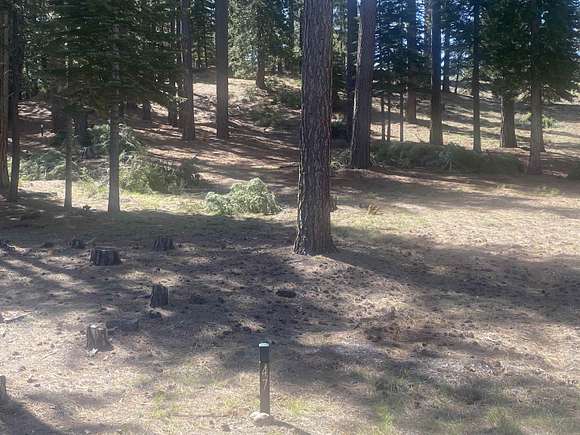 0.24 Acres of Residential Land for Sale in Clio, California