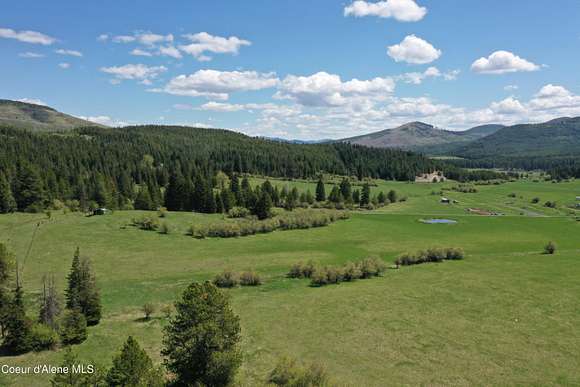 20 Acres of Agricultural Land for Sale in St. Maries, Idaho