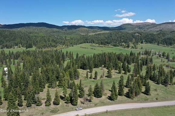 40 Acres of Agricultural Land for Sale in St. Maries, Idaho
