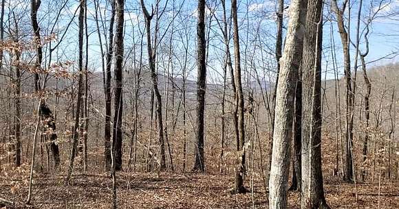 69.8 Acres of Recreational Land for Sale in Jamestown, Tennessee