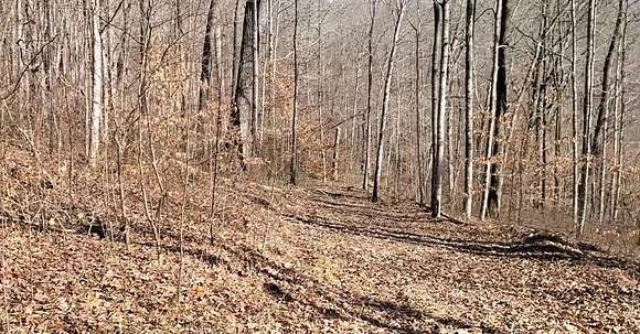 28.8 Acres of Recreational Land for Sale in Jamestown, Tennessee