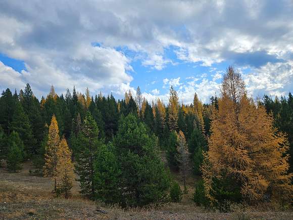 135 Acres of Recreational Land for Sale in Granite, Oregon