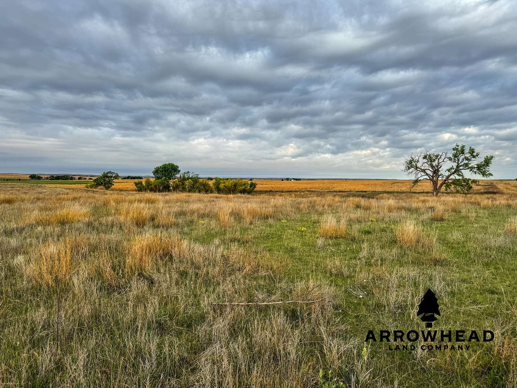 230 Acres of Recreational Land & Farm for Sale in Buffalo, Oklahoma