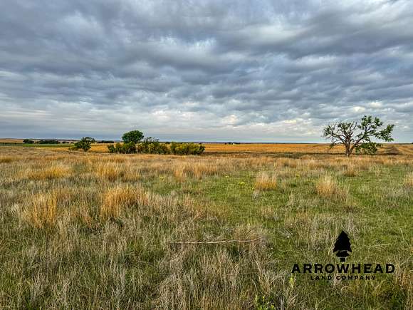 230 Acres of Recreational Land & Farm for Sale in Buffalo, Oklahoma ...