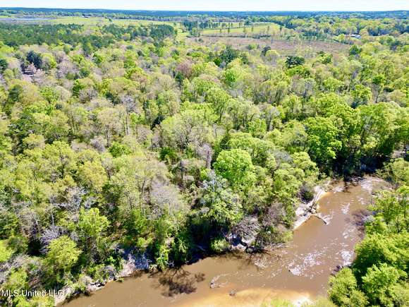62 Acres of Agricultural Land for Sale in Poplarville, Mississippi