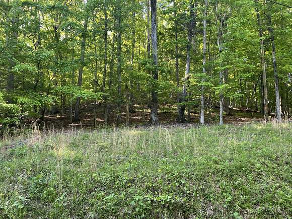 0.34 Acres of Land for Sale in Spring City, Tennessee