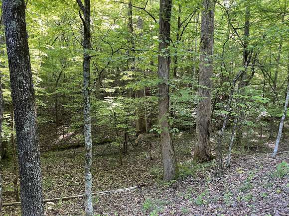 0.34 Acres of Land for Sale in Spring City, Tennessee