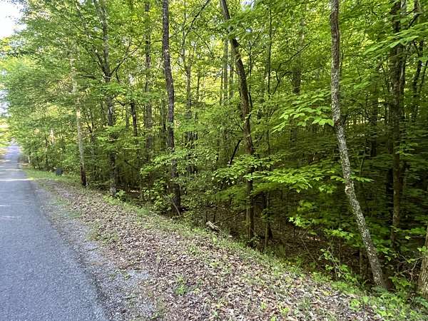 0.33 Acres of Residential Land for Sale in Spring City, Tennessee