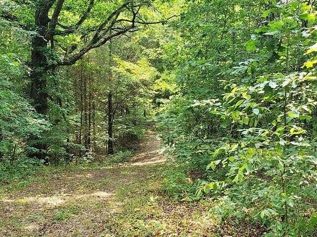 140 Acres of Recreational Land for Sale in Decatur, Tennessee