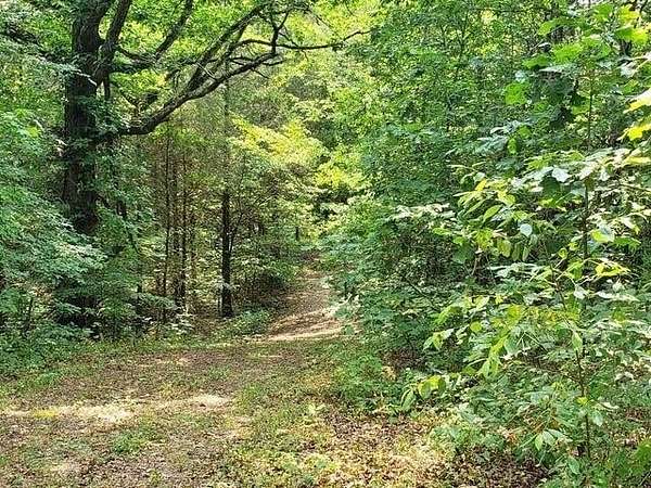 140 Acres of Recreational Land for Sale in Decatur, Tennessee