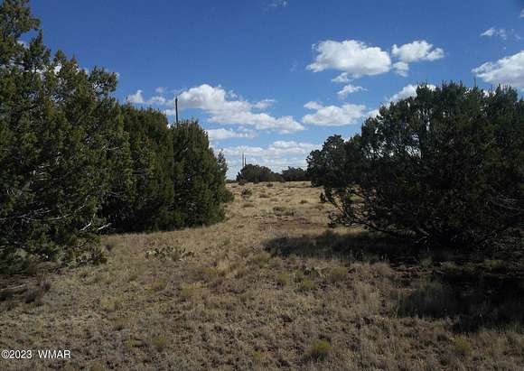 1.2 Acres of Residential Land for Sale in Concho, Arizona