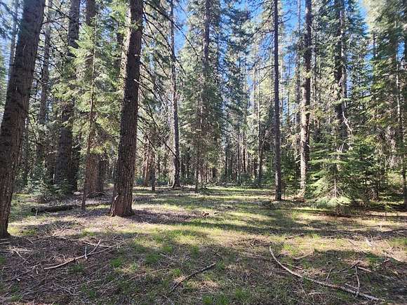 2.5 Acres of Residential Land for Sale in McCloud, California