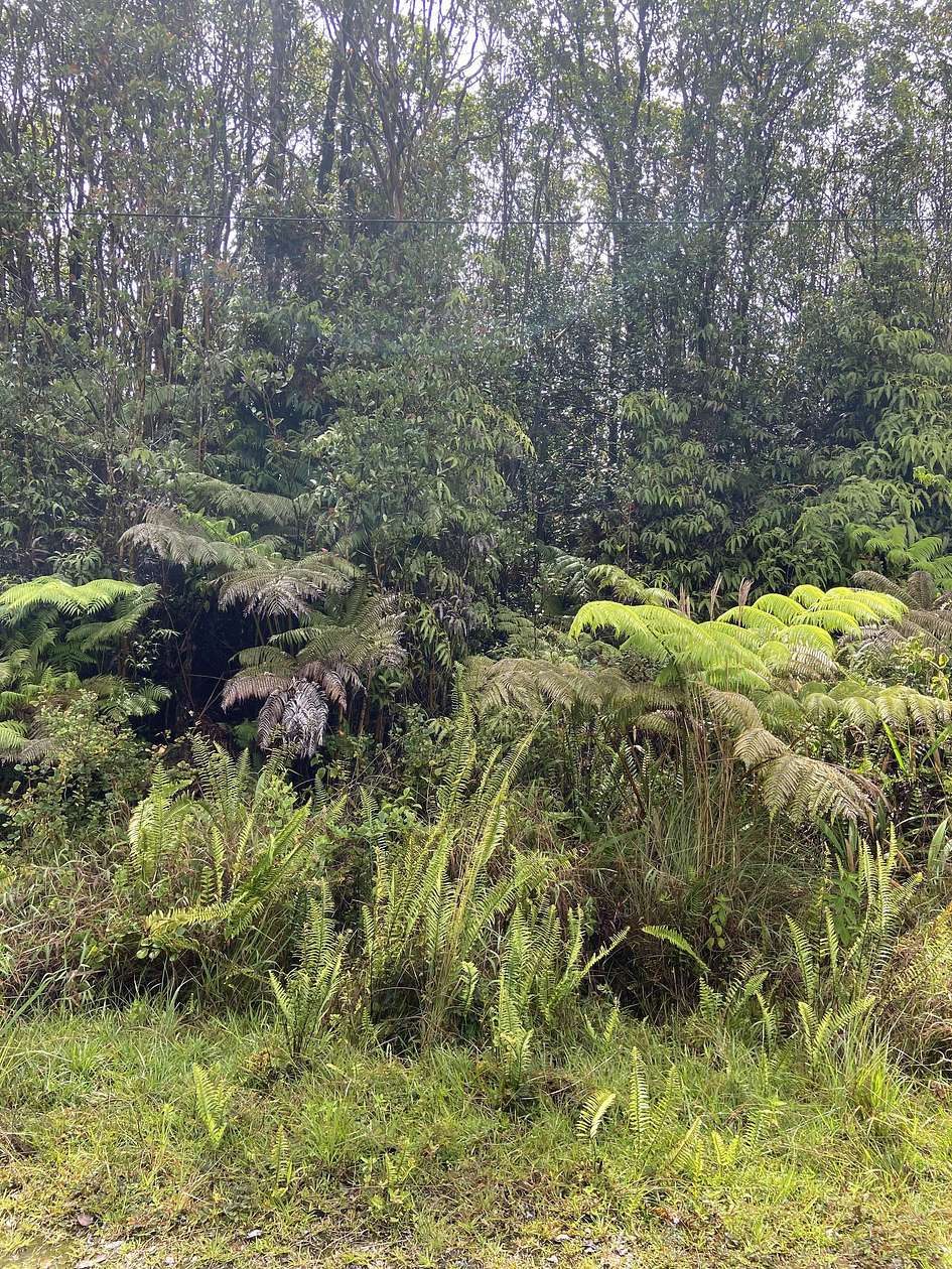 0.276 Acres of Land for Sale in Volcano, Hawaii