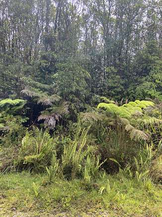 0.28 Acres of Land for Sale in Volcano, Hawaii