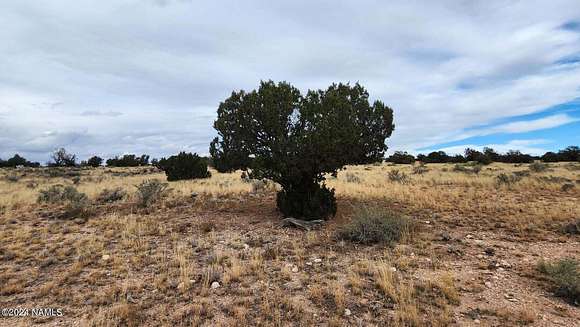 40.1 Acres of Recreational Land for Sale in Williams, Arizona