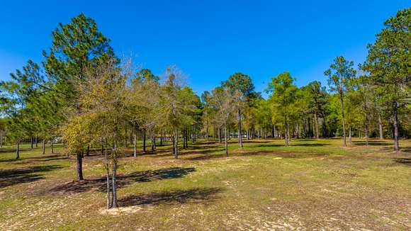 20 Acres of Agricultural Land for Sale in Paxton, Florida