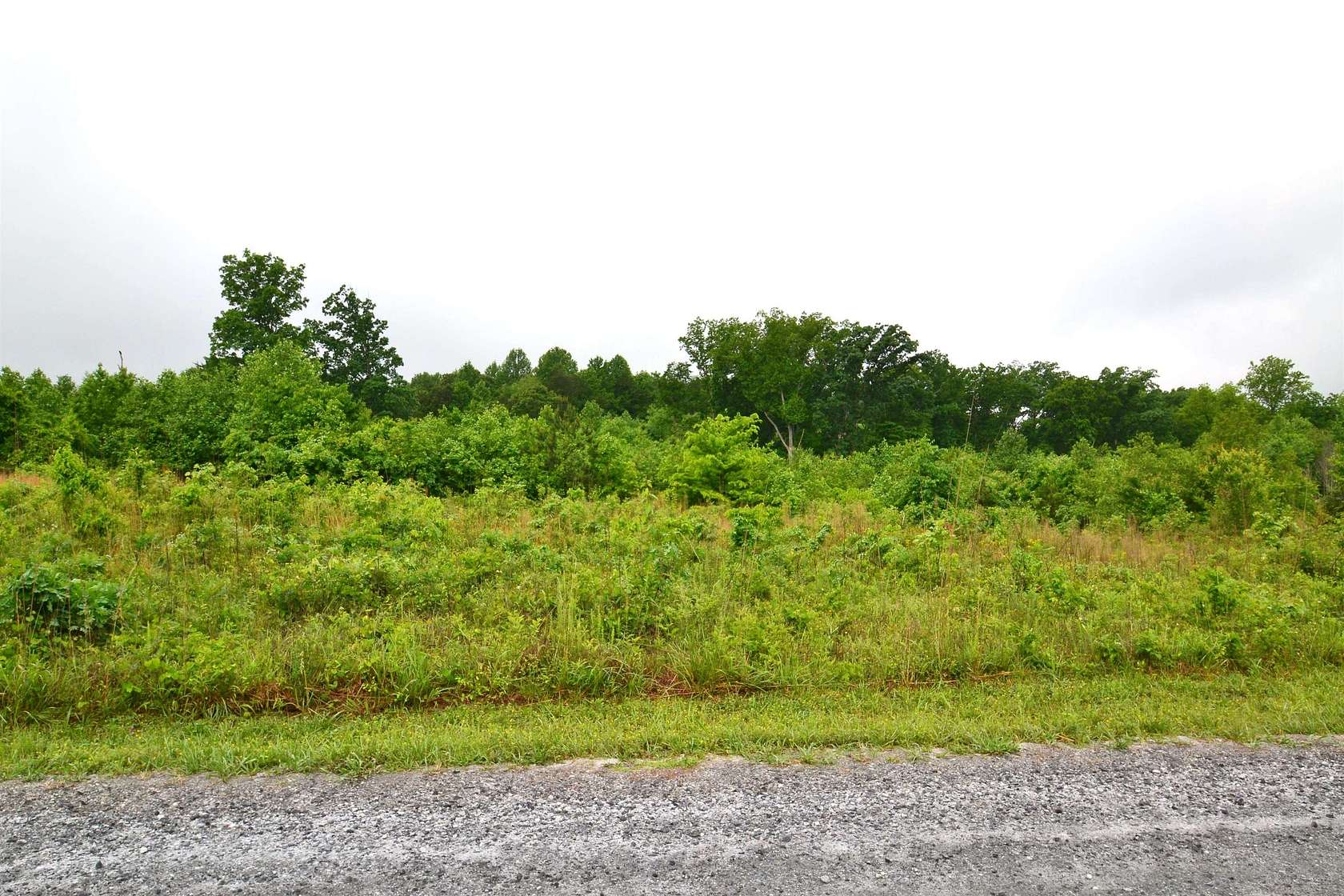 1.9 Acres of Residential Land for Sale in Campobello, South Carolina