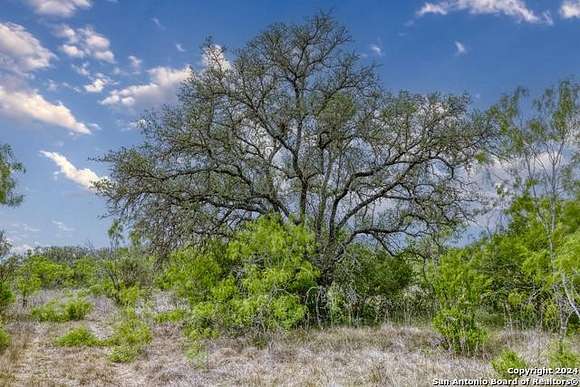 10 Acres of Land for Sale in D'Hanis, Texas