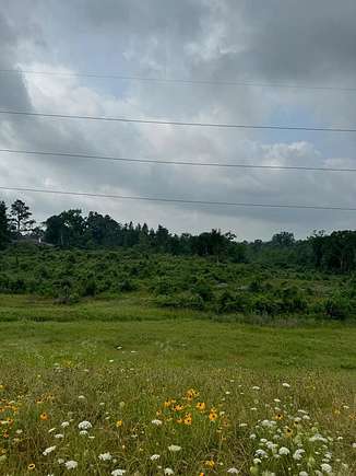 18 Acres of Land for Sale in Nacogdoches, Texas