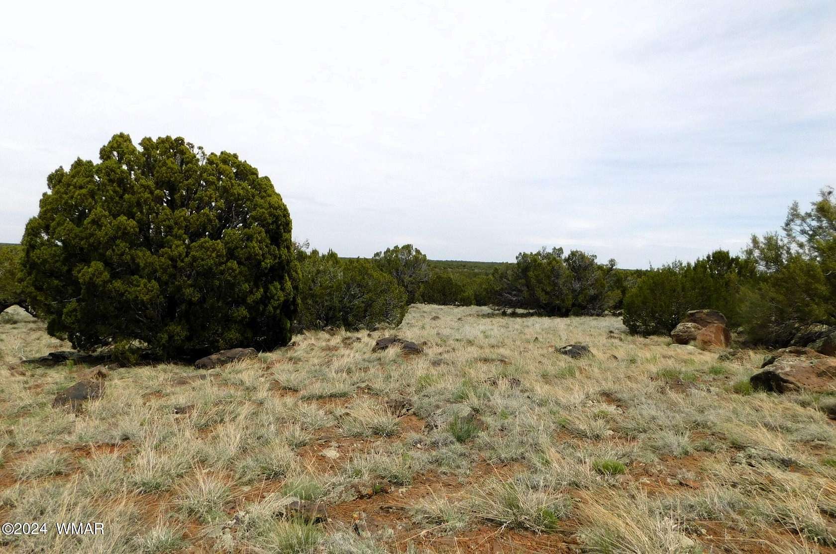 1.15 Acres of Residential Land for Sale in Concho, Arizona