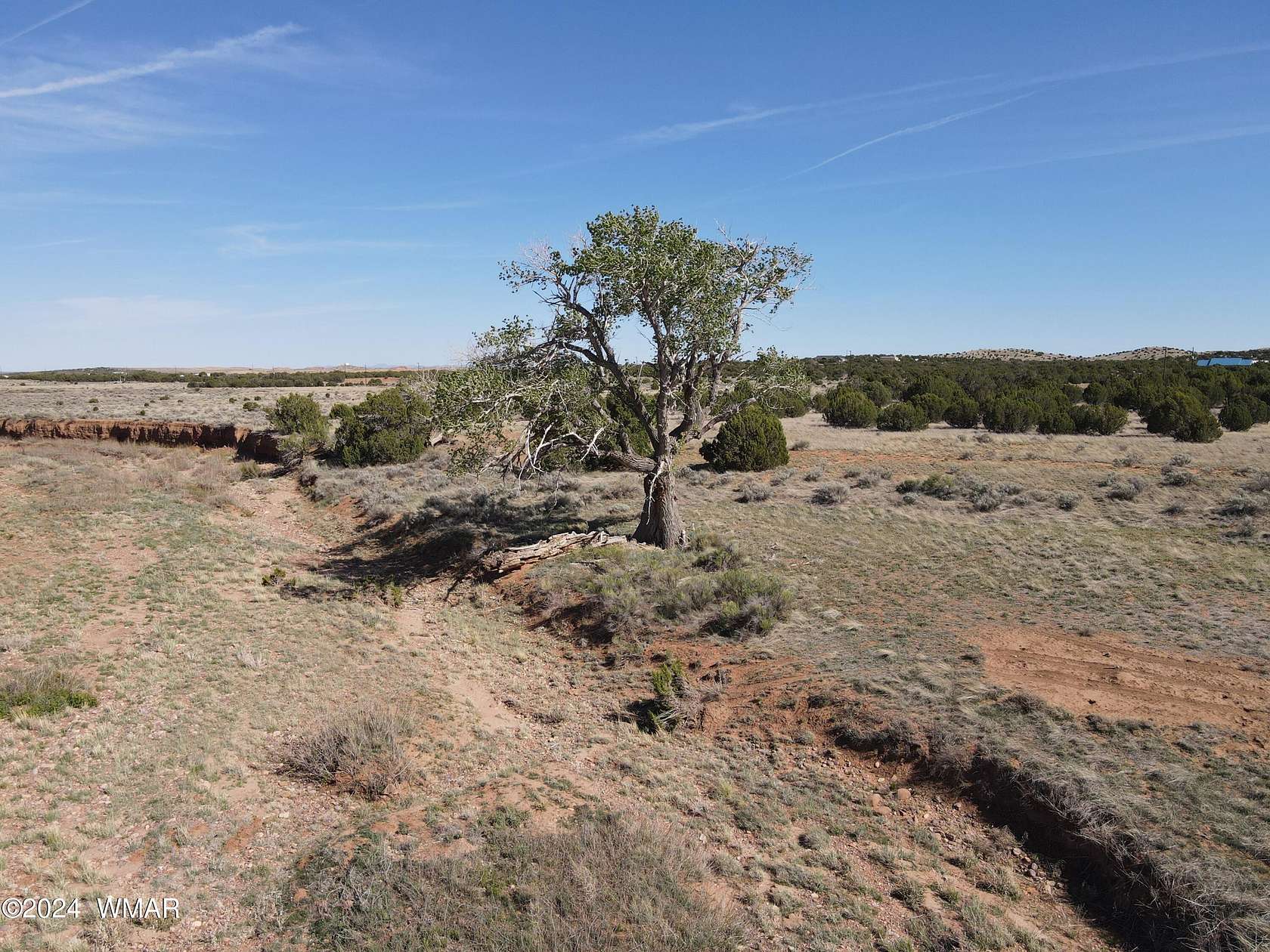 75.1 Acres of Agricultural Land for Sale in Taylor, Arizona LandSearch