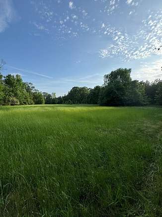 207 Acres of Recreational Land for Sale in Woodville, Mississippi