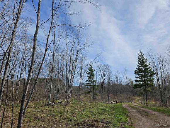 75 Acres of Land for Sale in Rockland, Michigan