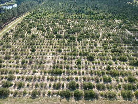 10 Acres of Agricultural Land for Sale in Weirsdale, Florida