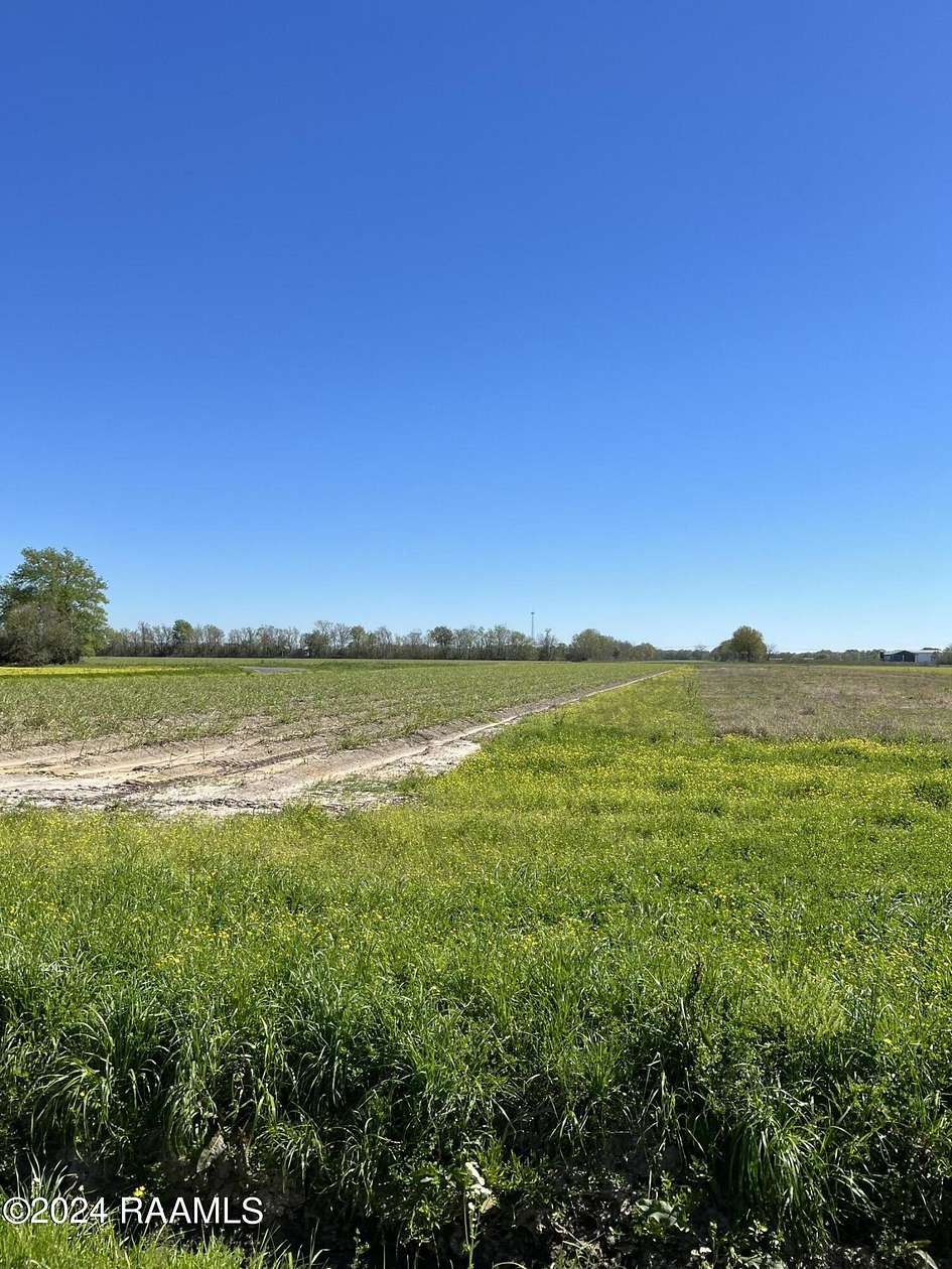 Land for Sale in Rayne, Louisiana